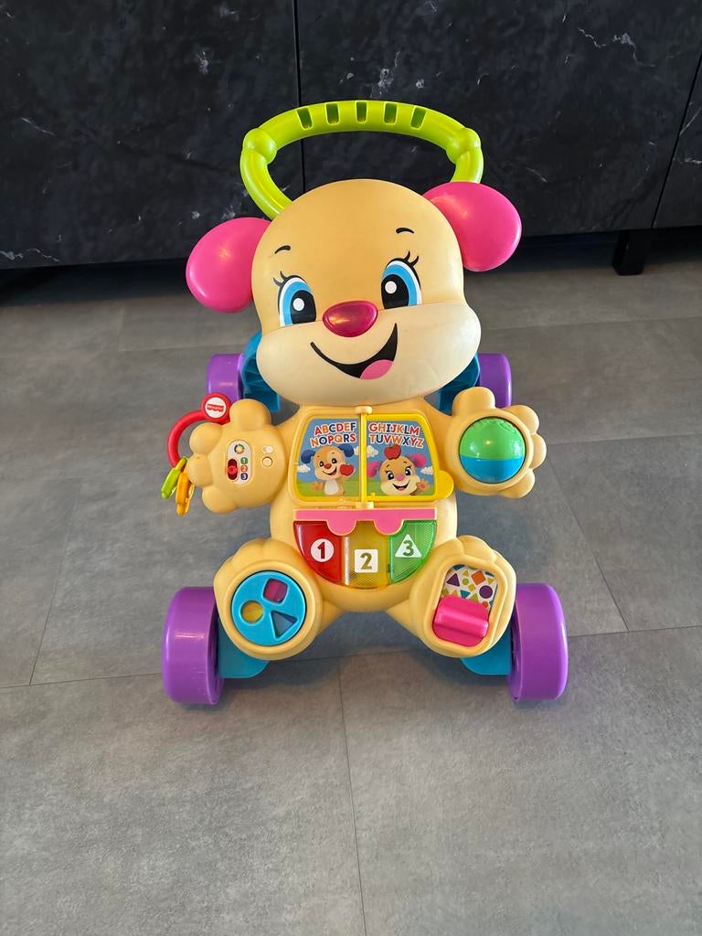 Fisher-Price Leerplezier Loopwagen Hondje, Ophalen, Gebruikt, Overige typen, Met licht
