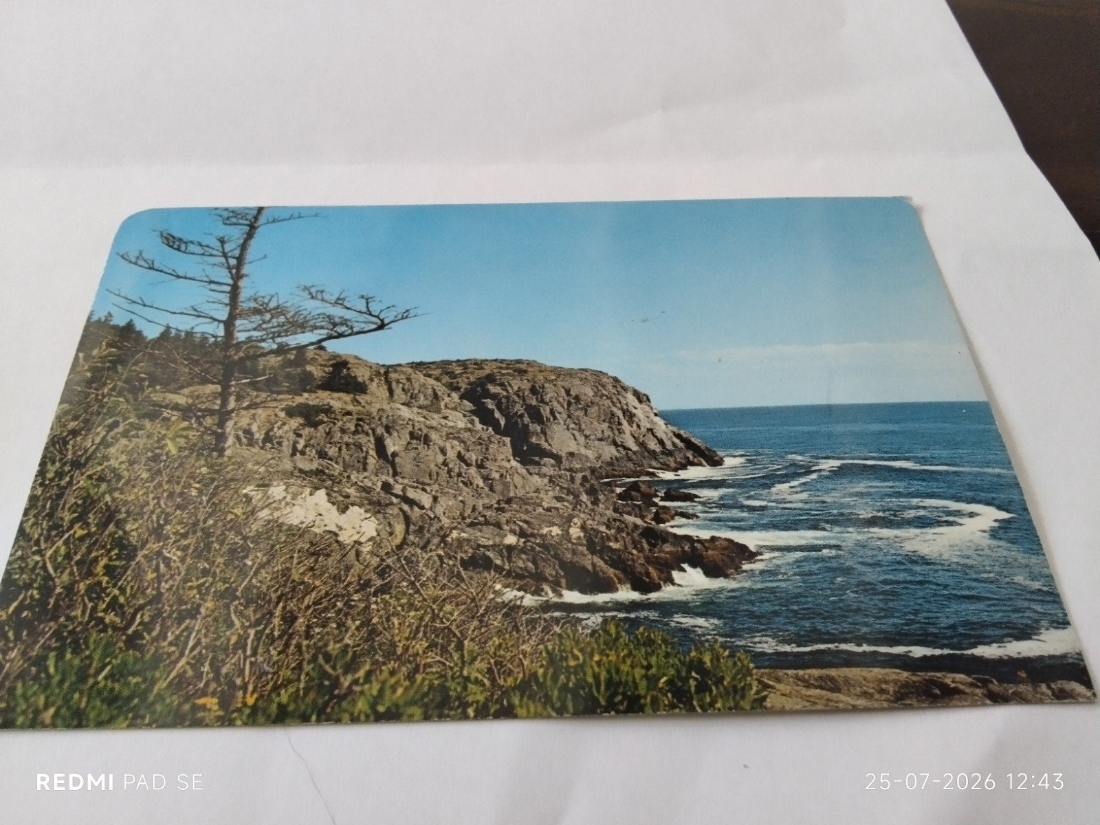 Ansichtkaart Rocky Coast of Maine, USA (1984), Verzamelen, Ophalen of Verzenden, 1980 tot heden, Gelopen, Buiten Europa