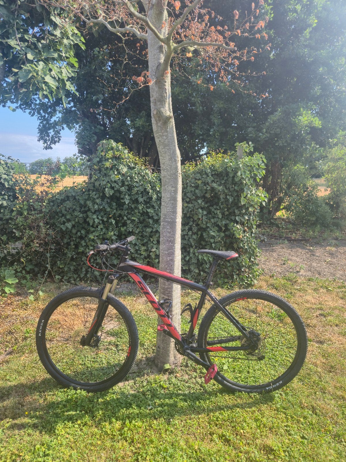 Scott Scale 970 L, Fietsen en Brommers, Fietsen | Mountainbikes en ATB, Gebruikt, Heren, Overige merken, 49 tot 53 cm, Hardtail