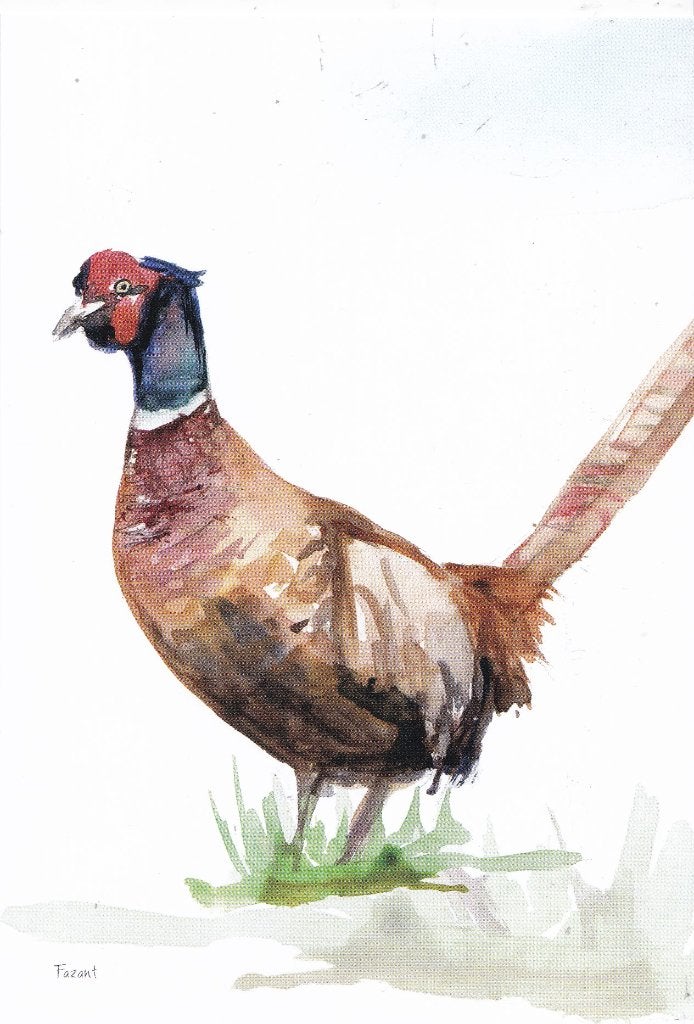 Michelle Dujardin - Nederlandse weidevogels – fazant, Verzenden, 1980 tot heden, Ongelopen, Natuur