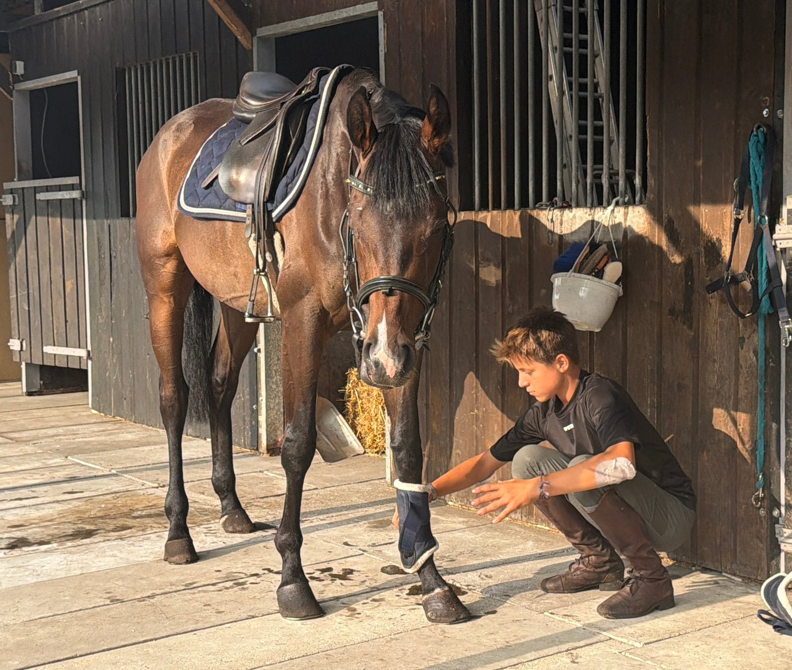 4-jarige doodbraaf ruin 1.58m VANDAAG OP TE HALEN, Dieren en Toebehoren, Paarden, Minder dan 160 cm, Met stamboom, Ruin, 3 tot 6 jaar