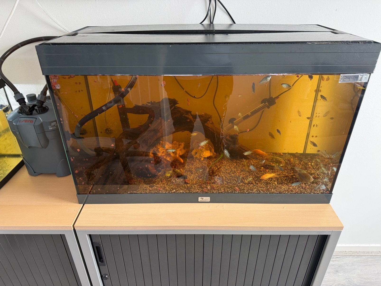 Aquarium 125L 'Aquatlantis', Ophalen, Gebruikt, Leeg aquarium, Aquatlantis