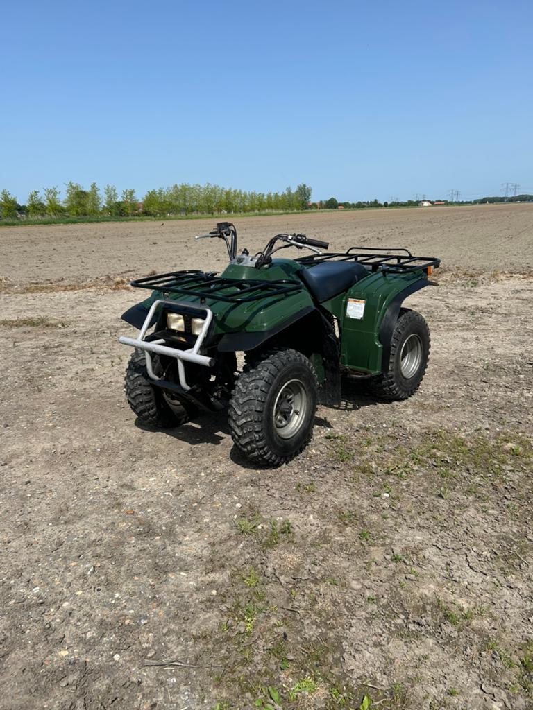 Yamaha beartracker 250, Ophalen, Gebruikt