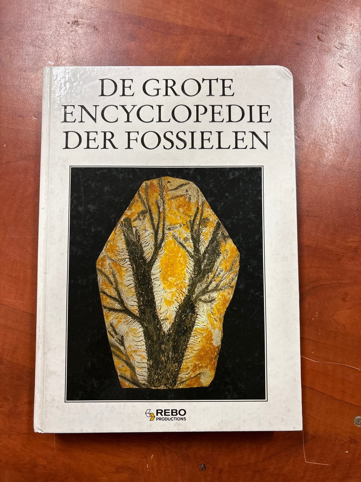 De Grote Encyclopedie der Fossielen - REBO Productions, Ophalen of Verzenden, Gelezen, Overige onderwerpen, Los deel