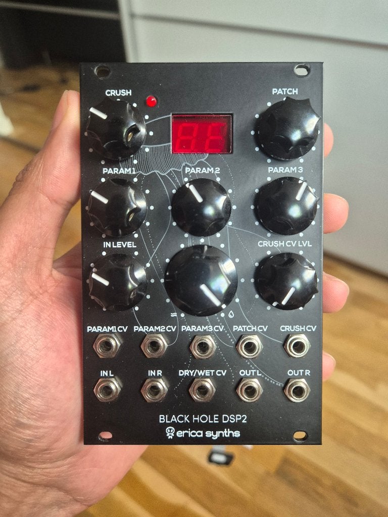 Erica Synths Black Hole DSP 2 – Eurorack FX – originele doos, Ophalen of Verzenden, Zo goed als nieuw, Overige merken