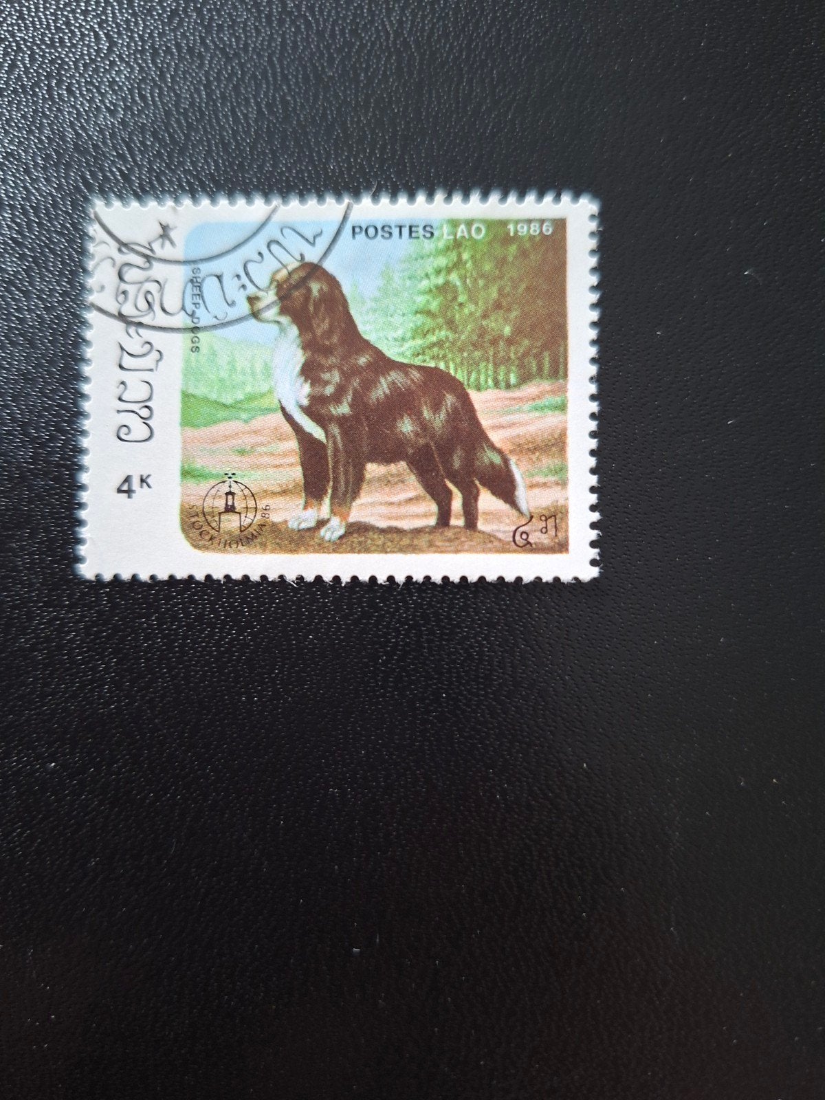 Laos, hond., Ophalen of Verzenden, Dier of Natuur