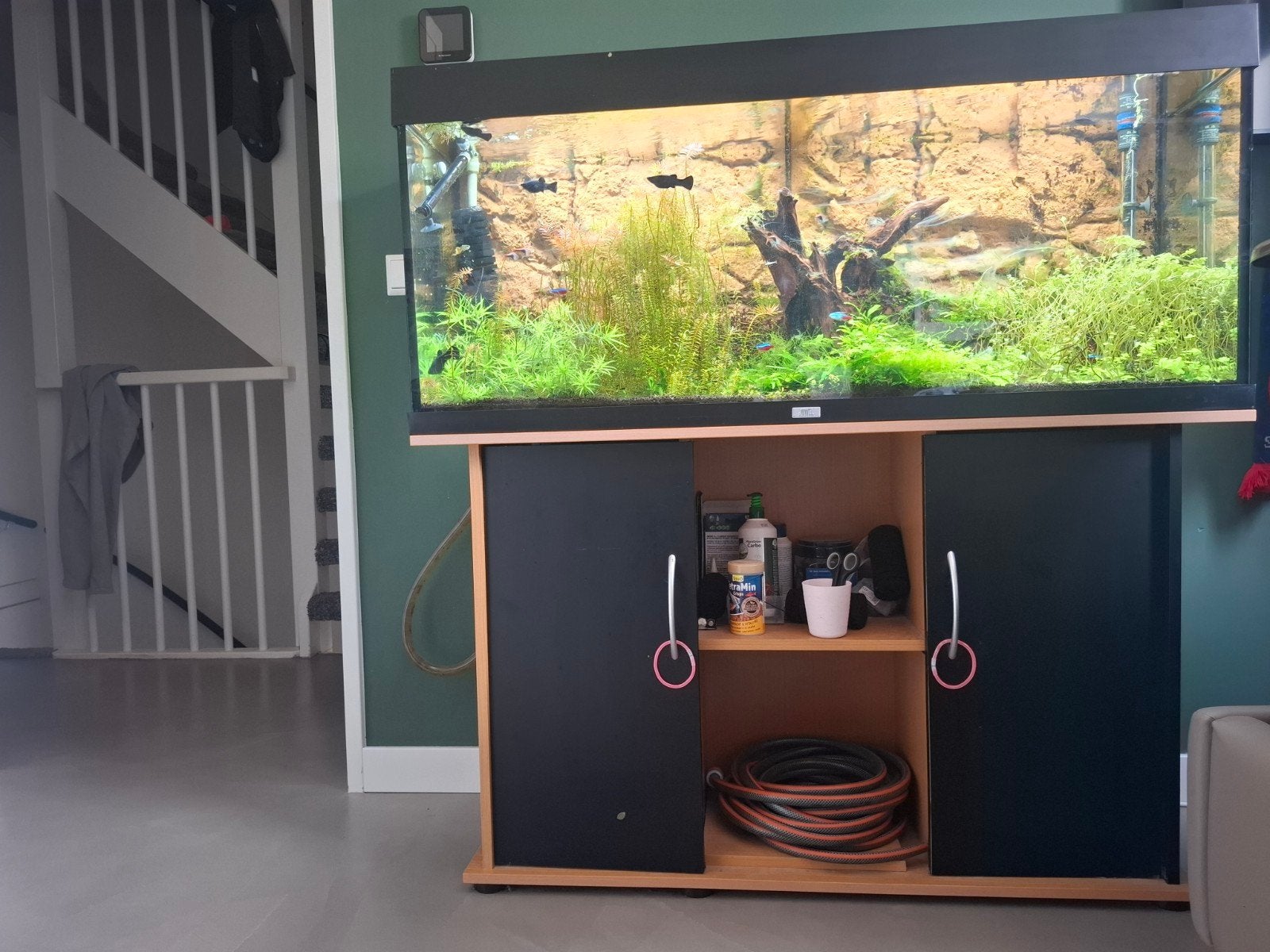 compleet aquarium 120cm, Dieren en Toebehoren, Ophalen, Gebruikt, Gevuld zoetwateraquarium