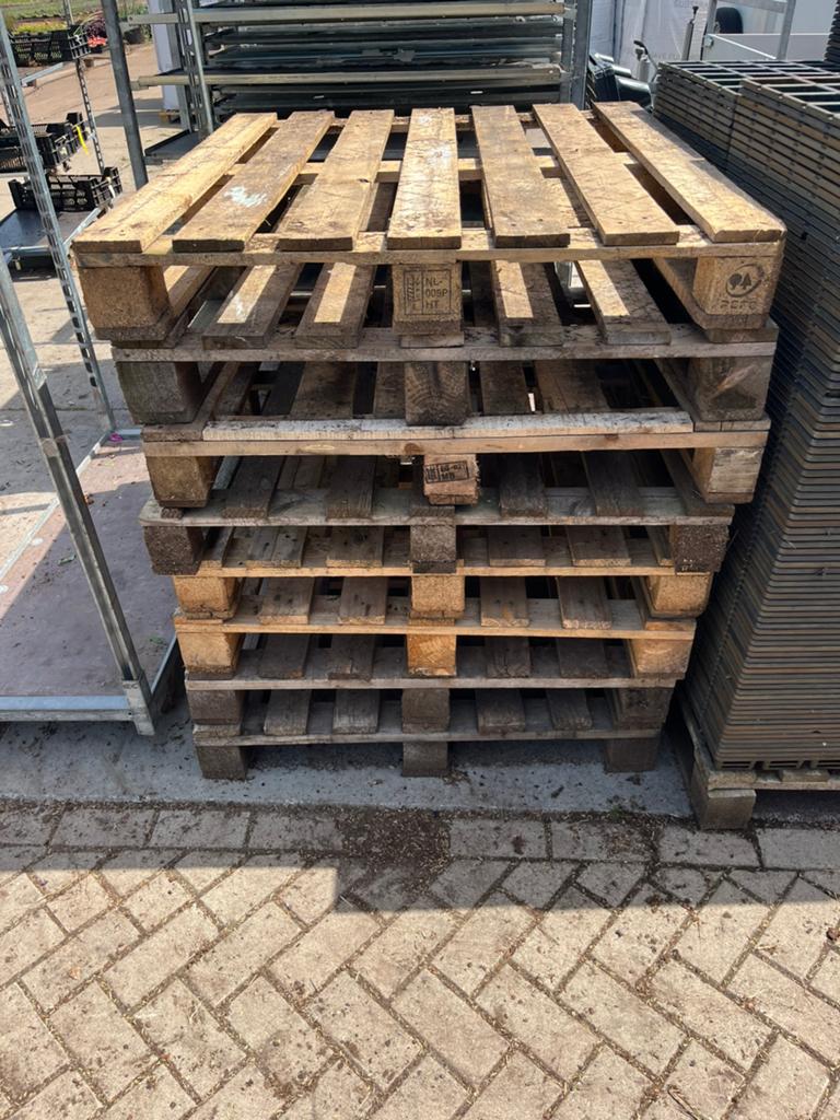 Pallets 120x100 cm €2,50, Ophalen, Zo goed als nieuw, Pallet, Minder dan 200 cm