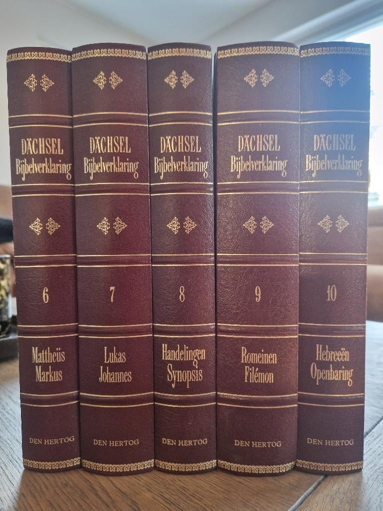 Bijbelverklaring Dächsel Nieuwe Testament, Boeken, Godsdienst en Theologie, Ophalen, Zo goed als nieuw, Christendom | Protestants