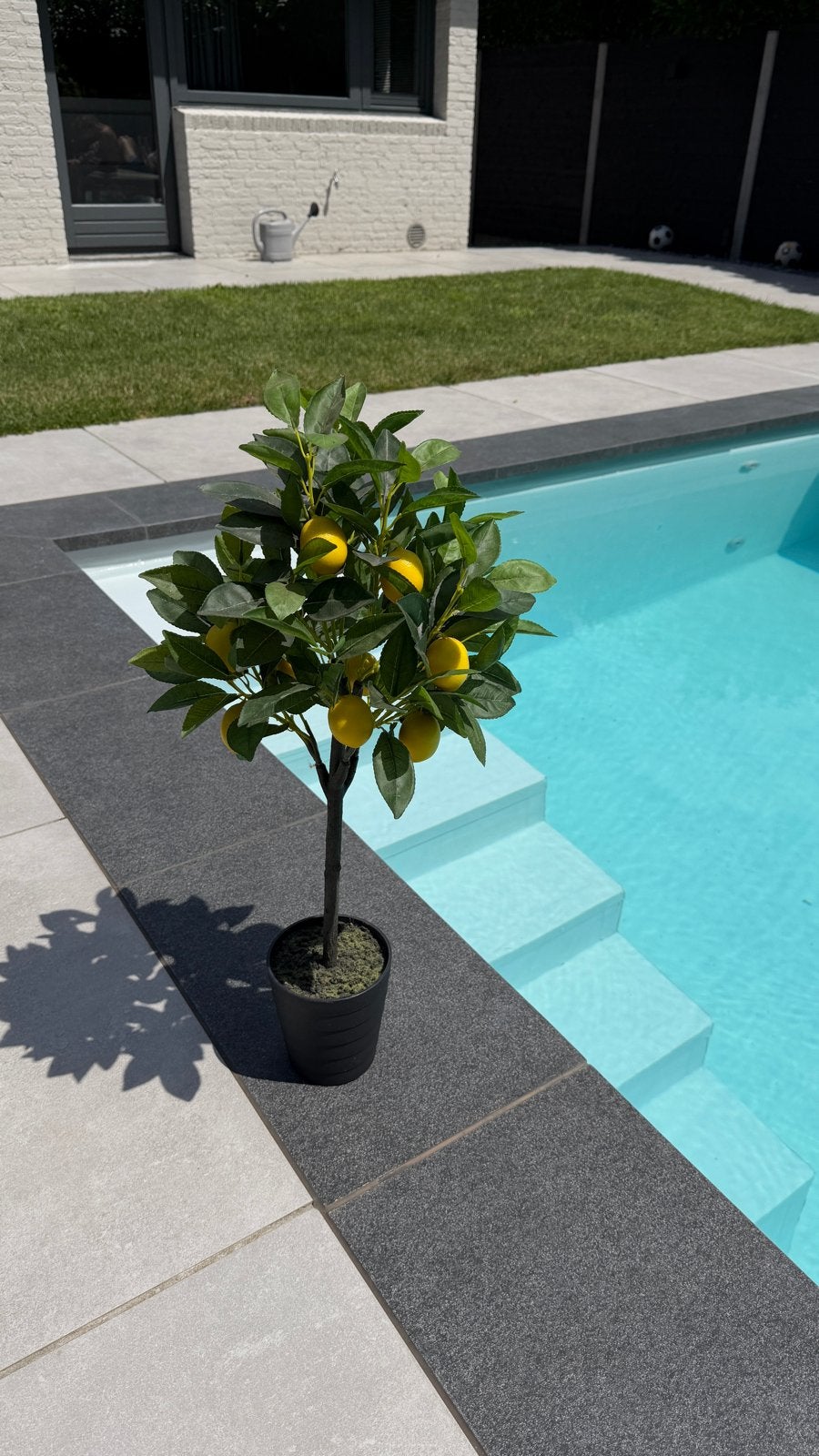 Kunstmatige Citroenboom - Decoratieve Plant, Ophalen of Verzenden