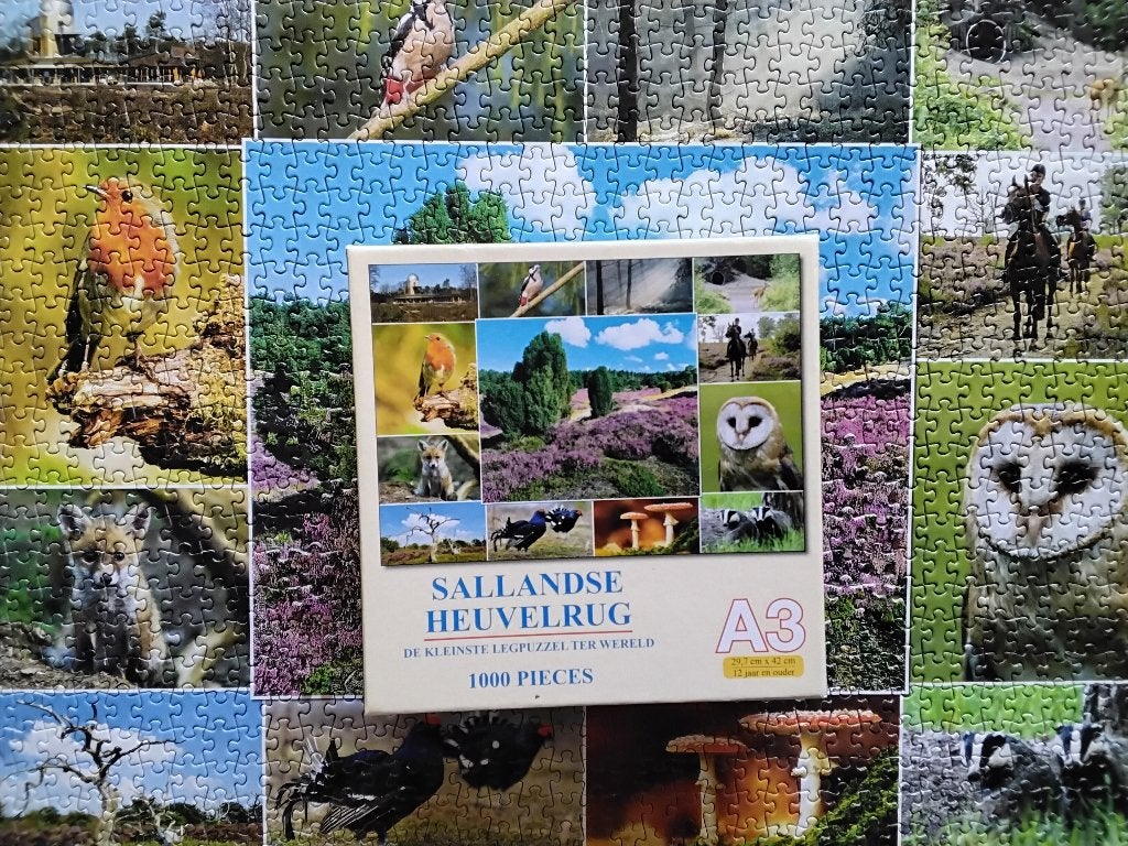 Puzzel kleinste legpuzzel ter wereld 'sallandse heuvelrug', Ophalen, 500 t/m 1500 stukjes, Zo goed als nieuw, Legpuzzel