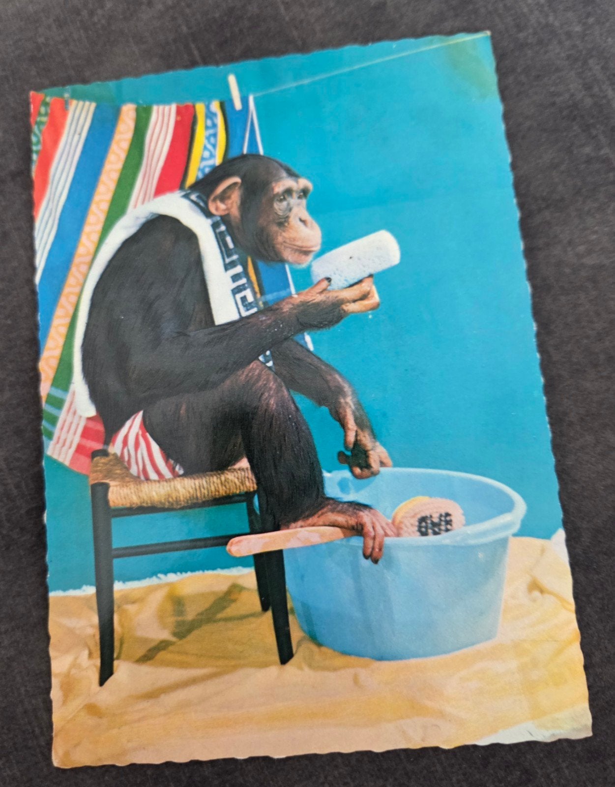 Aap in Bad, Verzenden, 1960 tot 1980, Gelopen, Kinderen