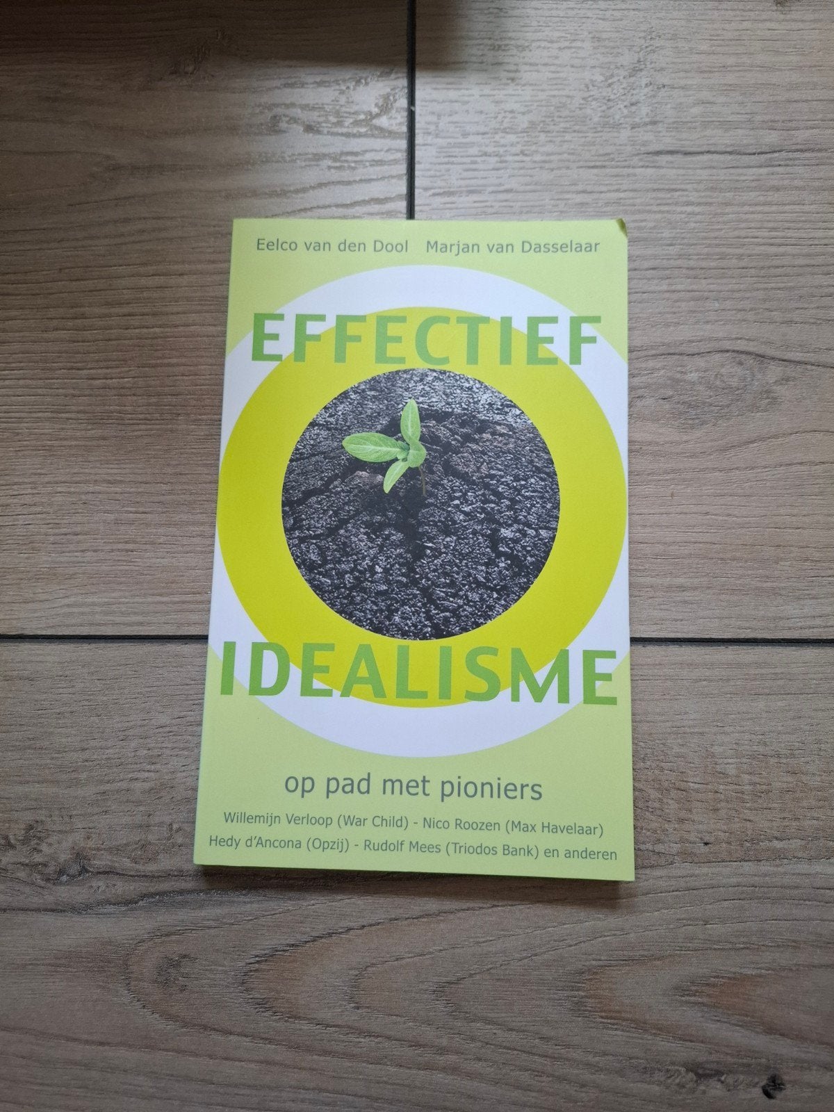 Marjan van Dasselaar - Effectief idealisme, Ophalen of Verzenden, Zo goed als nieuw, Marjan van Dasselaar; Eelco van den Dool