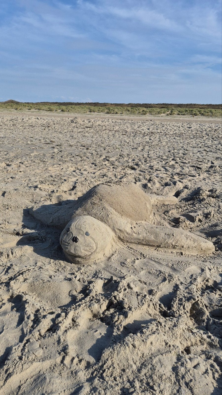 Bolderkar te huur - Ideaal voor een dagje uit!, Ophalen, Zo goed als nieuw