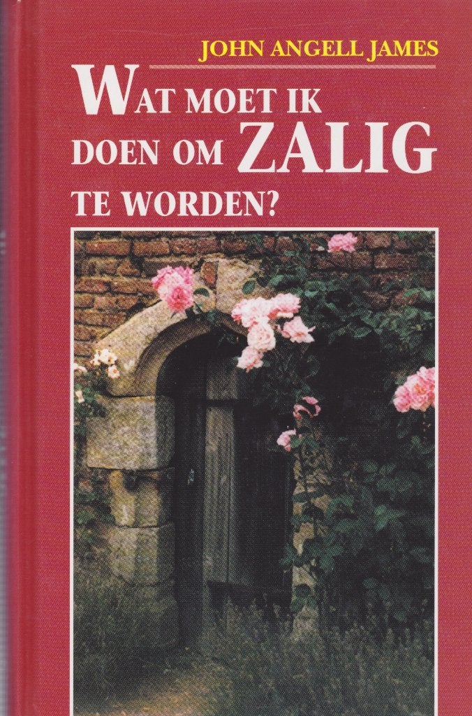 JOHN ANGEL JAMES - WAT MOET IK DOEN OM ZALIG TE WORDEN?, Ophalen of Verzenden, Gelezen