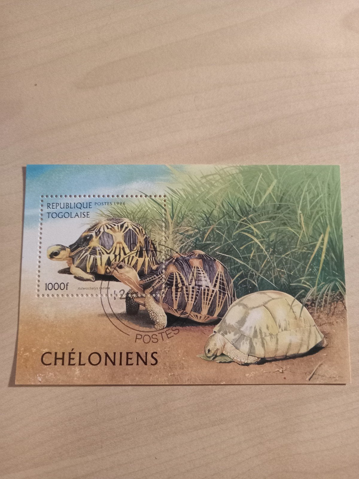 Togolese postzegel 1996 - Schildpadden (Chéloniens), Ophalen of Verzenden, Overige landen, Gestempeld