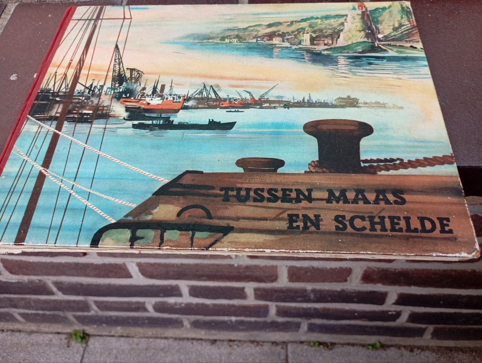 Vintage Tussen Maas en Schelde Plaatsjes Boek, Ophalen of Verzenden, Gebruikt, Overige typen