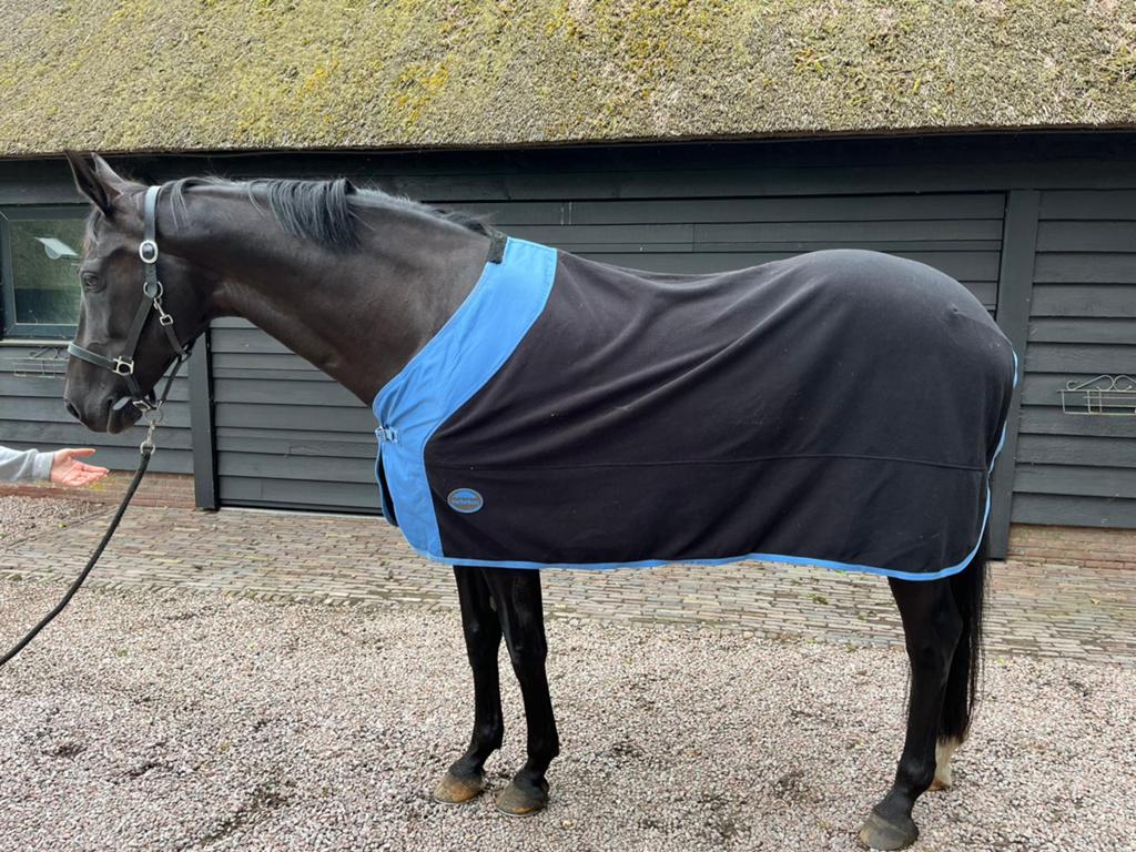 Weatherbeeta fleece deken 205, Ophalen of Verzenden, Zo goed als nieuw
