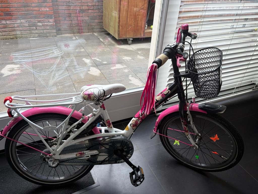 20 inch kinderfiets, Ophalen, Gebruikt, 20 inch, Versnellingen