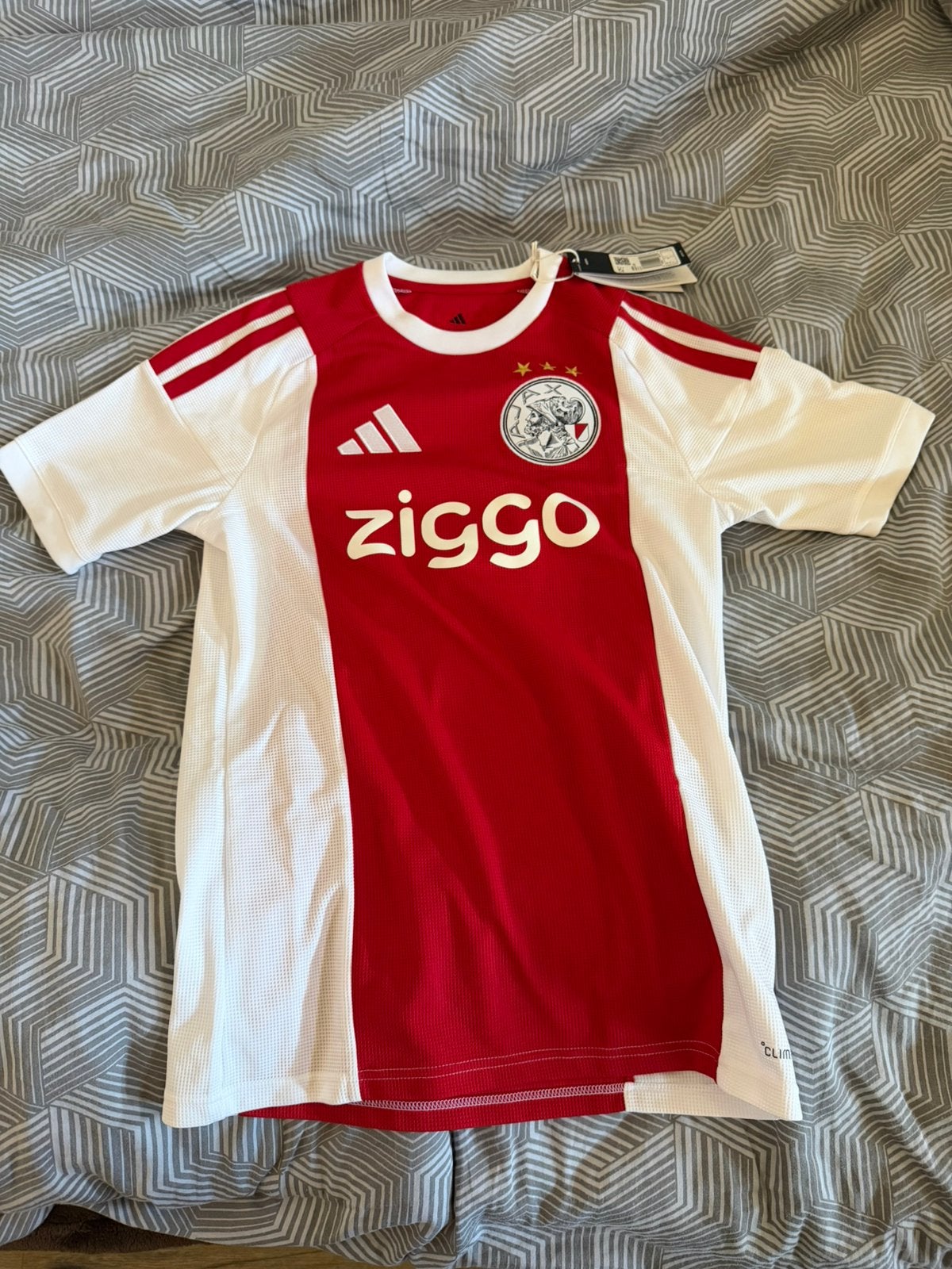 Ajax thuisshirt 2026/2027 Weghorst 25 maat S NIEUW, Kleding | Heren, Sportkleding, Ophalen of Verzenden, Zo goed als nieuw, Voetbal