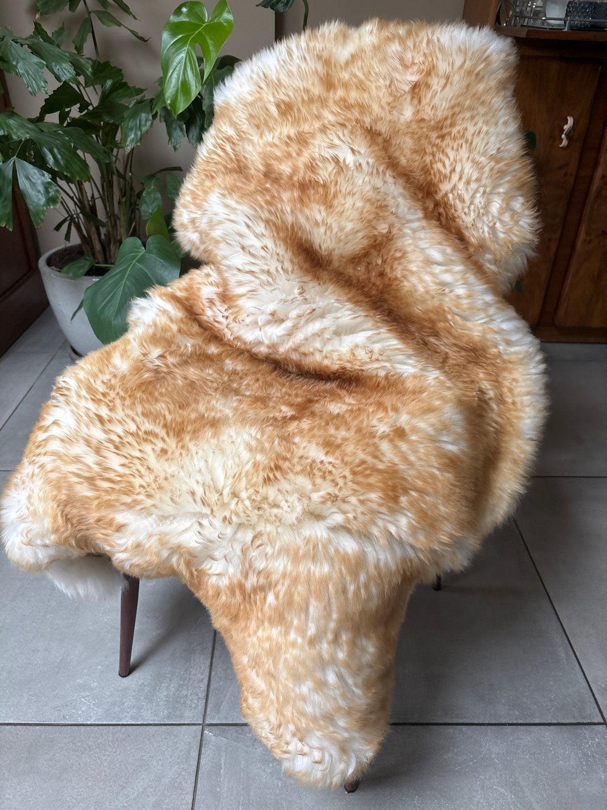 Mouflon lichtbruine schapenvacht 120x75cm, stoer & zacht, Info@natuurvachten.nl, 100 tot 150 cm, Bruin, Nieuw