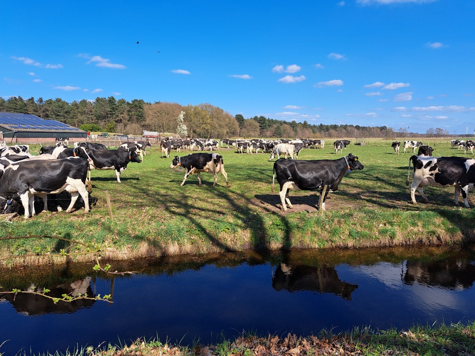 Rauwe melk/ honing/ eieren, Tickets en Kaartjes, Recreatie | Overige, Eén persoon
