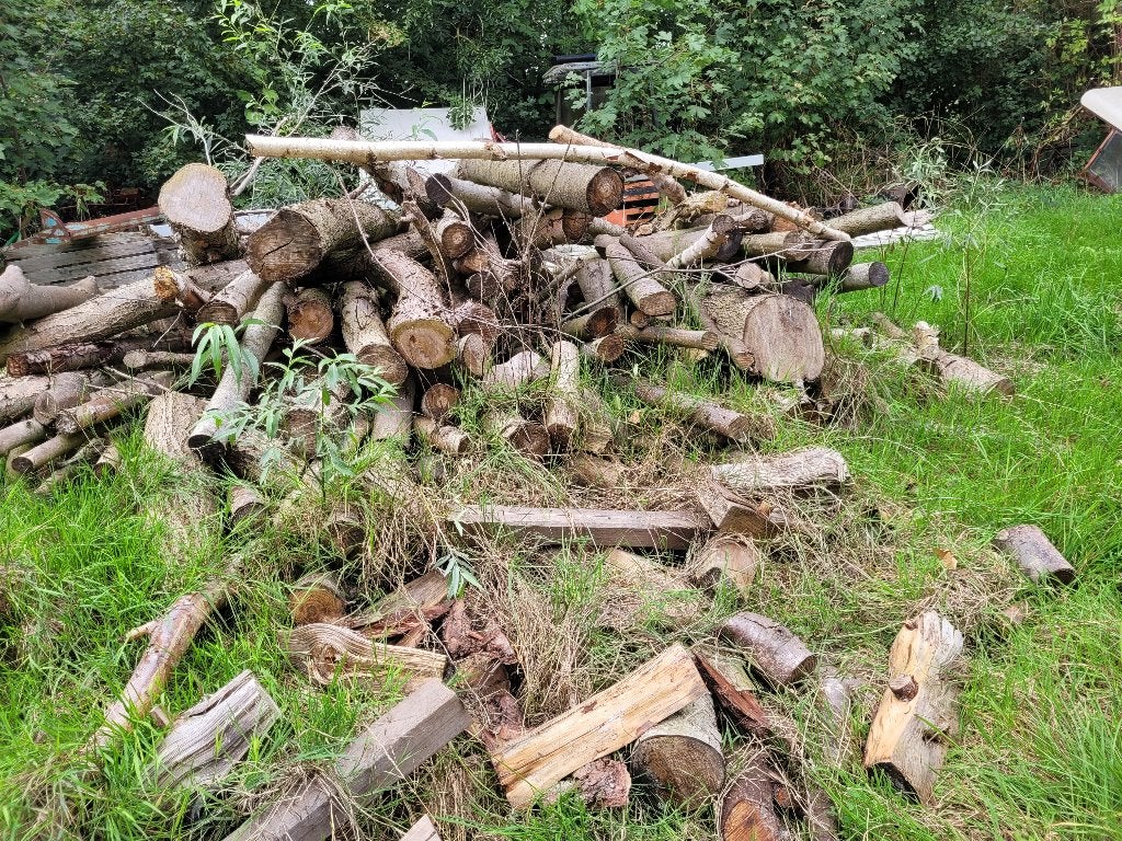 goed kachel hout, Minder dan 3 m³, Ophalen of Verzenden, Overige houtsoorten, Stammen