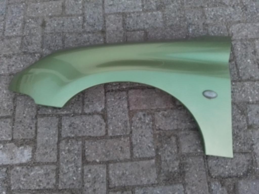 LINKER ZIJSCHERM PEUGEOT 206 / 206 CC, Niet ingevuld, Niet ingevuld, Links, Niet ingevuld