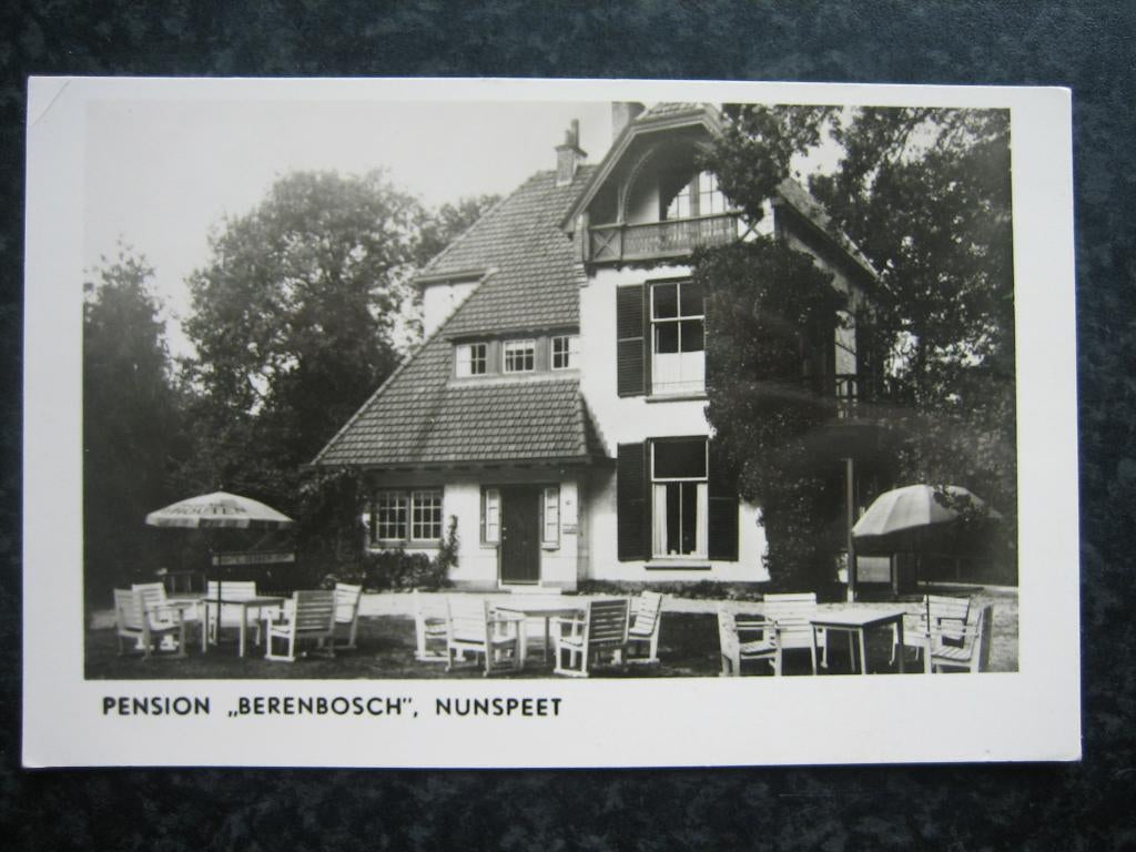 NUNSPEET Pension Berenbosch, Verzamelen, Ansichtkaarten | Nederland, Ophalen of Verzenden, 1940 tot 1960, Gelderland