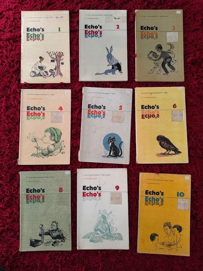 Echo`s vintage school boekjes ( 9 stuks ), Boeken, Schoolboeken, Ophalen of Verzenden, Gelezen, Overige niveaus