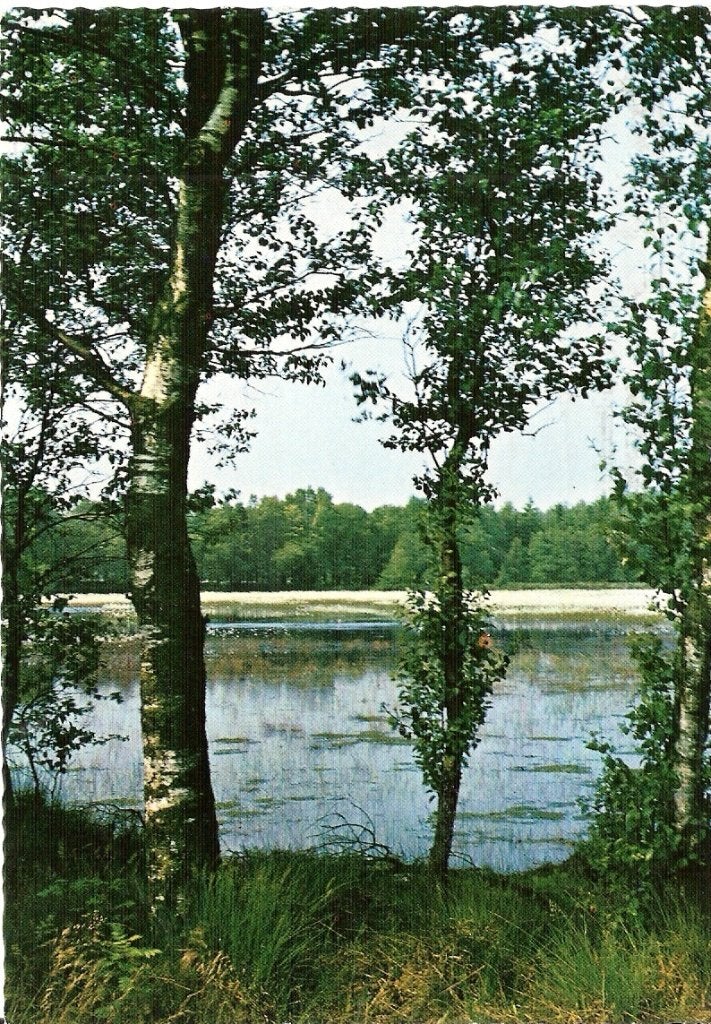 Drouwen        117, Ophalen of Verzenden, Voor 1920