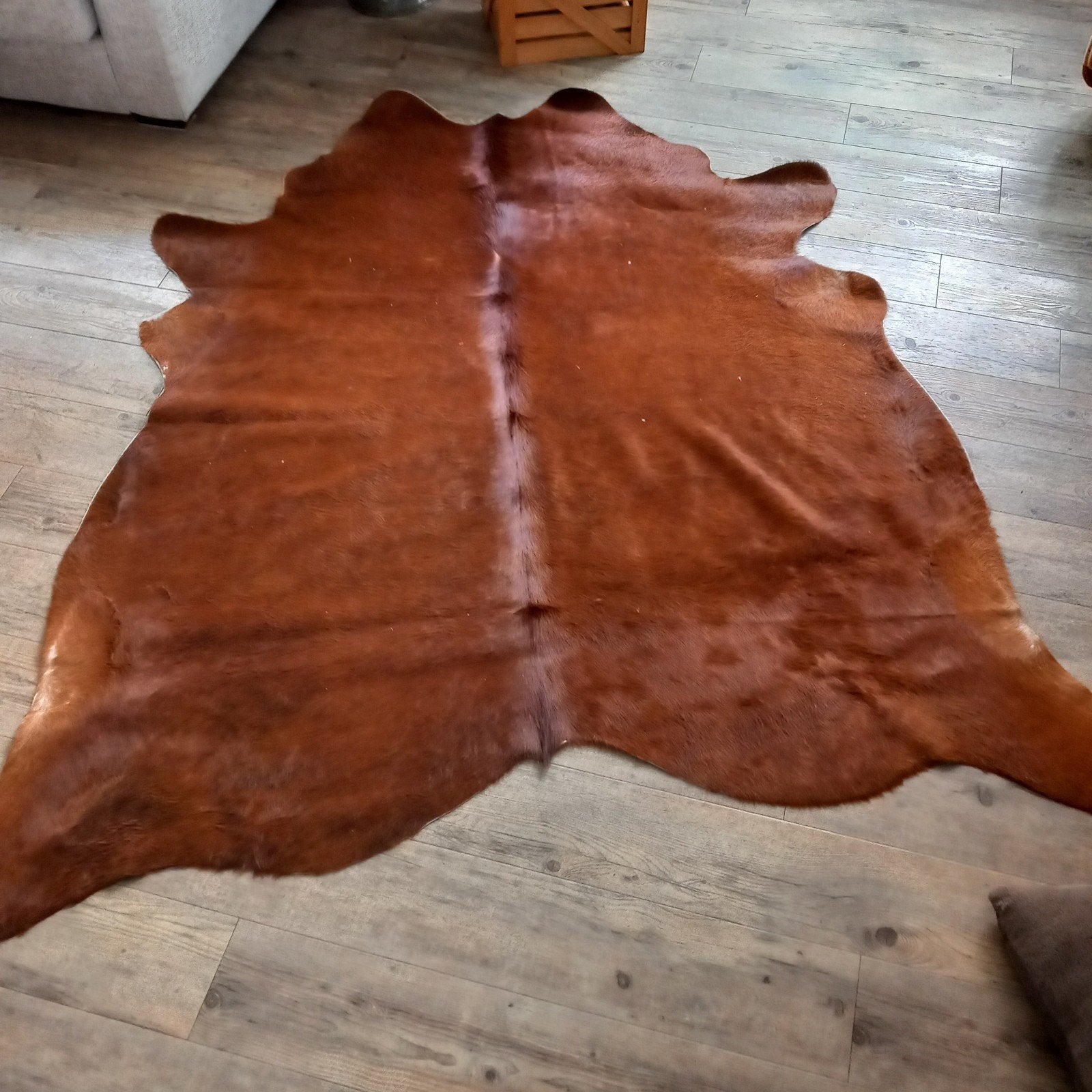 Prachtig bruin koeienhuid vloerkleed - 2.10 x 1.90m, Bruin, 150 tot 200 cm, 200 cm of meer, Ophalen of Verzenden