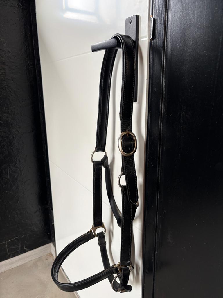 Leren halster full/ XL full, Dieren en Toebehoren, Ophalen of Verzenden, Overige soorten