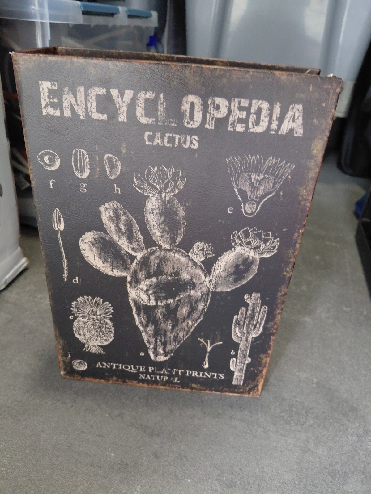 Decoratieve opbergboek 'Encyclopedia Cactus', Ophalen of Verzenden, Zo goed als nieuw