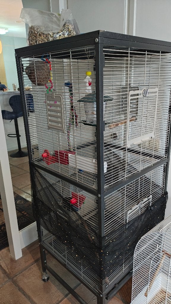 Bird cage large Vogel cage, Dieren en Toebehoren, Ophalen, Gebruikt, Metaal, Vogelkooi