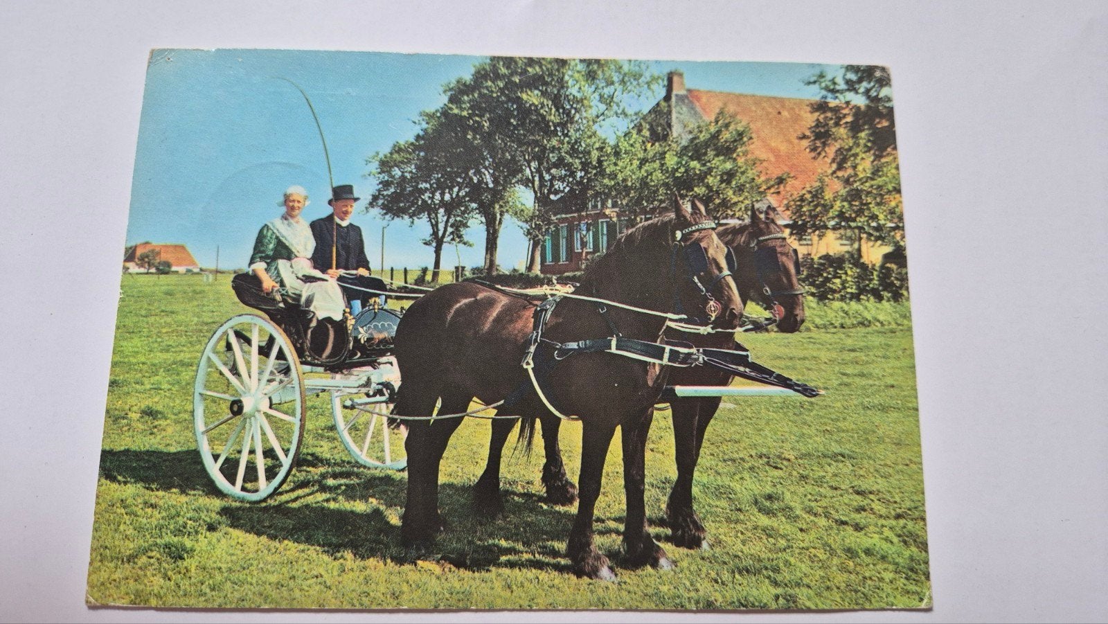 Oude ansichtkaart: Friese Sjees paard en wagen klederdracht, Ophalen of Verzenden, 1960 tot 1980, Gelopen, Noord-Holland