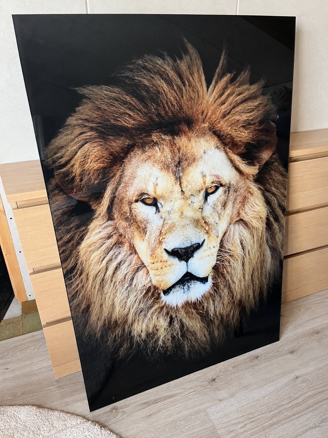 Groot leeuwenschilderij – plexiglas 120  80 cm, Ophalen, Zo goed als nieuw, Schilderij