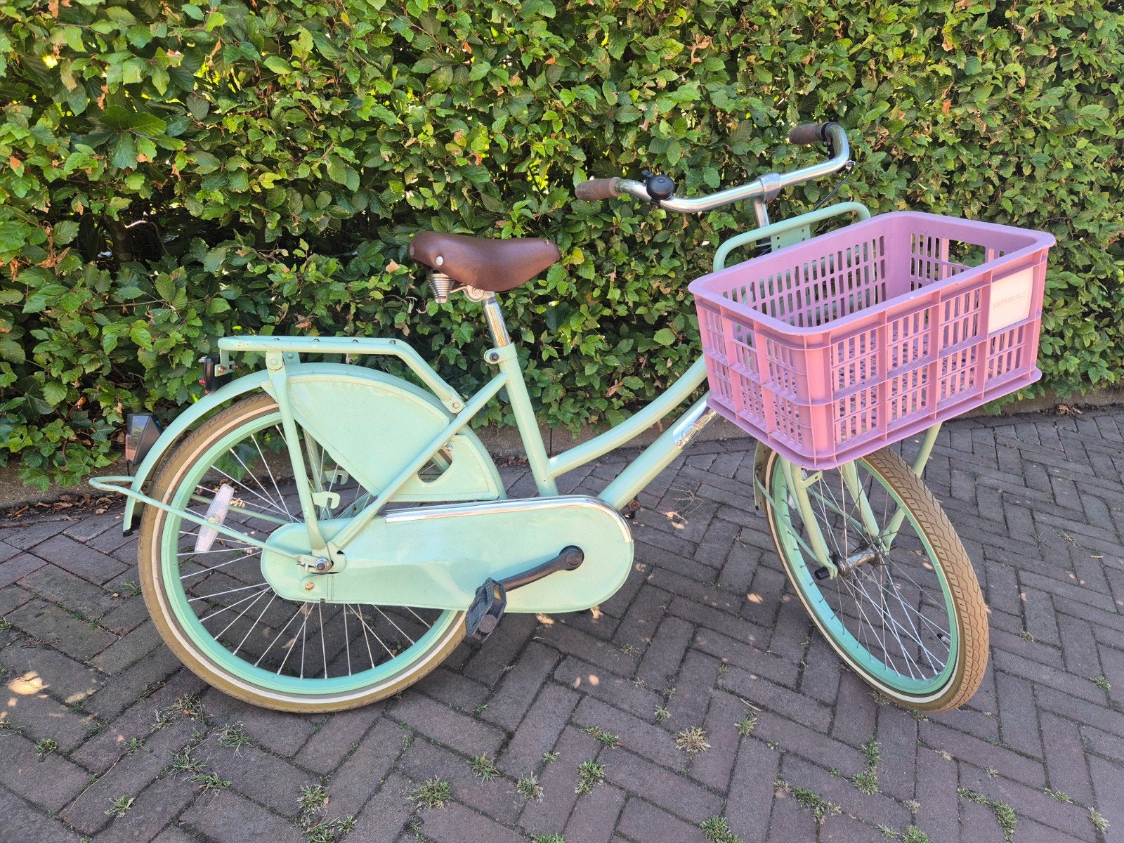 Popal 22 inch kinderfiets mintgroen met Basil krat roze, Fietsen en Brommers, Fietsen | Meisjes, Ophalen, Gebruikt, 22 inch, Popal