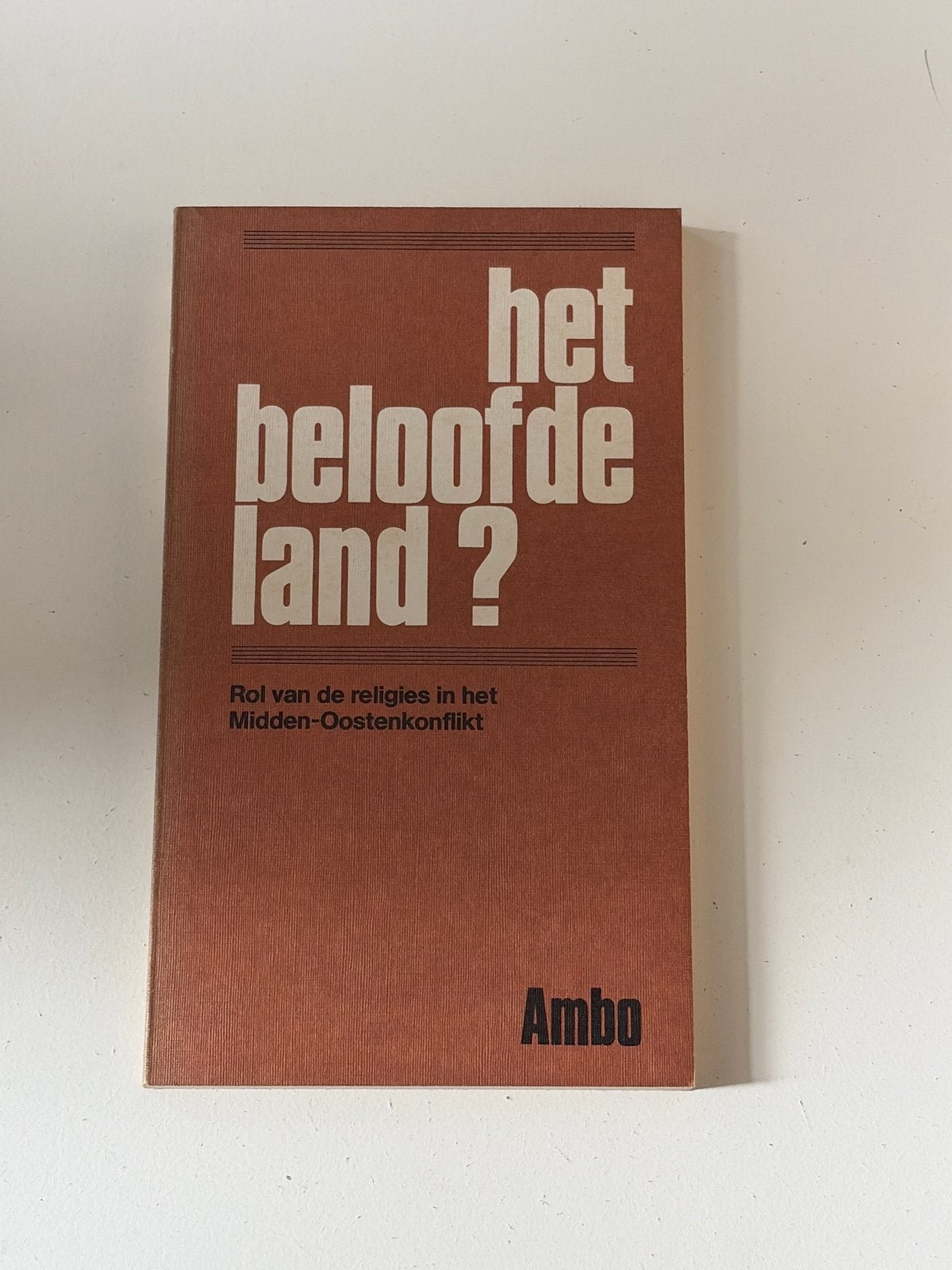 Het Beloofde Land? Religies en Midden-Oostenconflict, Ophalen of Verzenden, Gelezen, Jodendom