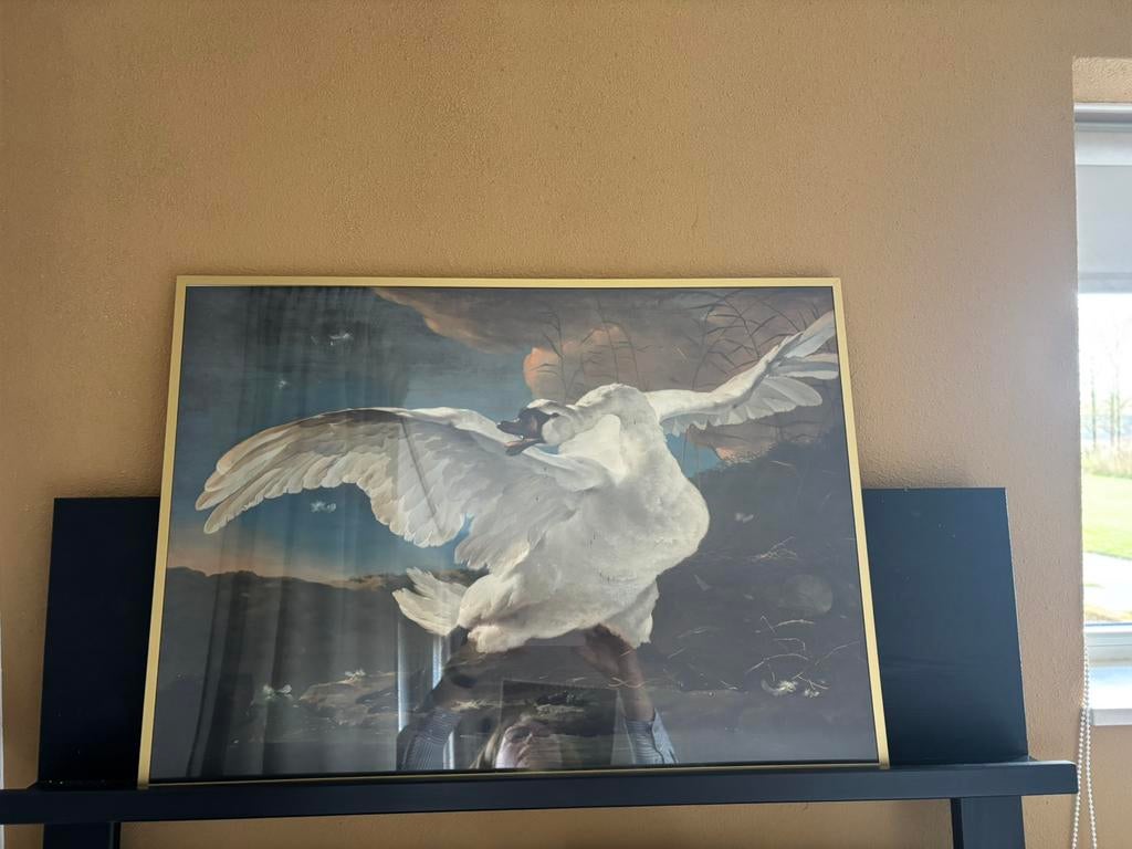 Poster in lijst: de Zwaan, Ophalen, 75 tot 100 cm, Foto of Poster, 50 tot 75 cm