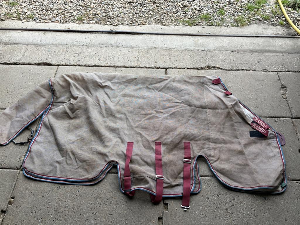 Rambo Protector vliegendeken - disc sluiting maat 205, Dieren en Toebehoren, Paarden en Pony's | Dekens en Dekjes, Meerkleurig