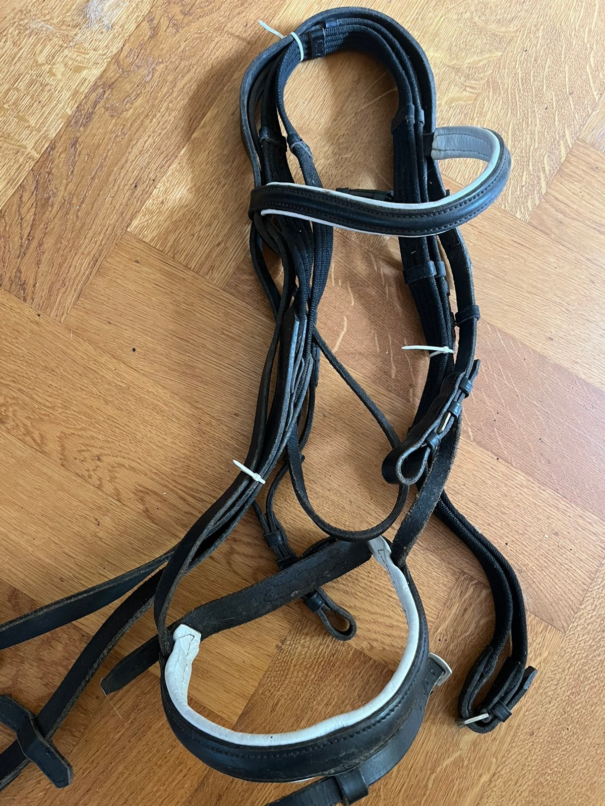 Nieuw zwart leren hoofdstel, maat full, Hoofdstel, Recreatie, Nieuw, Ophalen of Verzenden