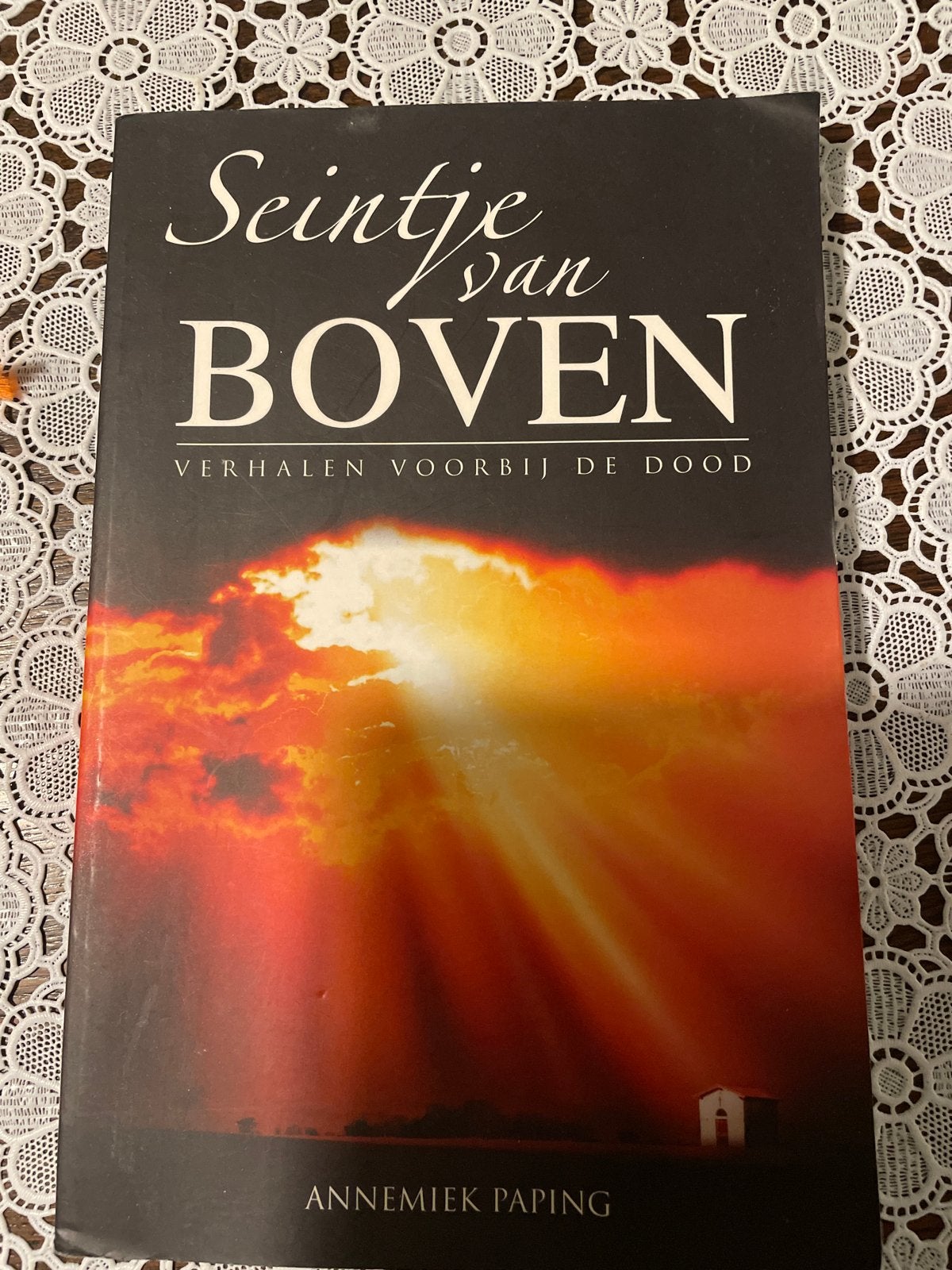 Seintje van Boven - Verhalen voorbij de dood, Ophalen of Verzenden, Gelezen, Ziel of Sterfelijkheid, Verhaal of Roman