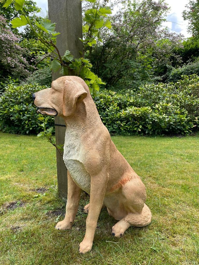 Beeld labrador, Golden Retriever, dieren, tuin, vijver  80cm, Ophalen, Nieuw, Kunststof, Dierenbeeld