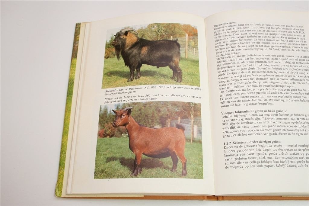 Dwerggeiten — Een Handboek over Rassen & Verzorging, Ophalen of Verzenden, Gelezen, Katten