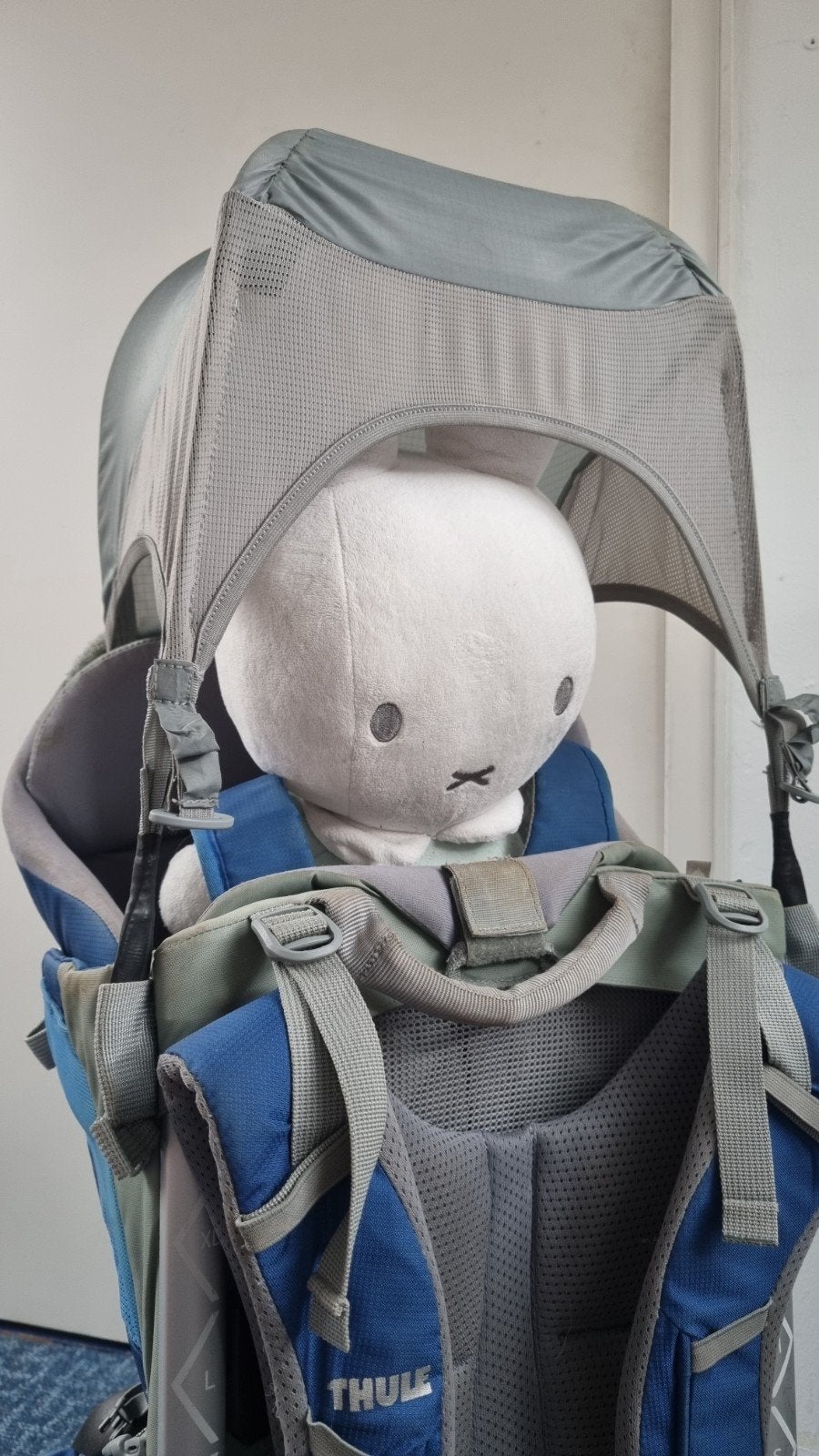 Thule Sapling Elite rugdrager, Gebruikt, Overige typen, Rug, Ophalen