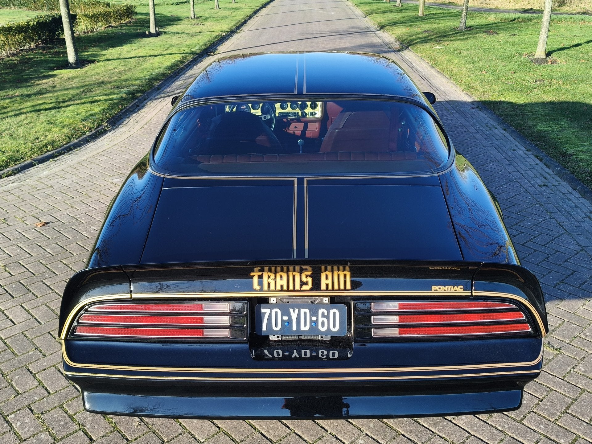 Pontiac Firebird TRANS AM (bj 1977, automaat), foto 5