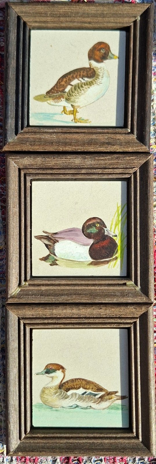 Schilderijtjes 3 stuks met eendenprint ingelijst, Minder dan 50 cm, Gebruikt, Ophalen of Verzenden, Print