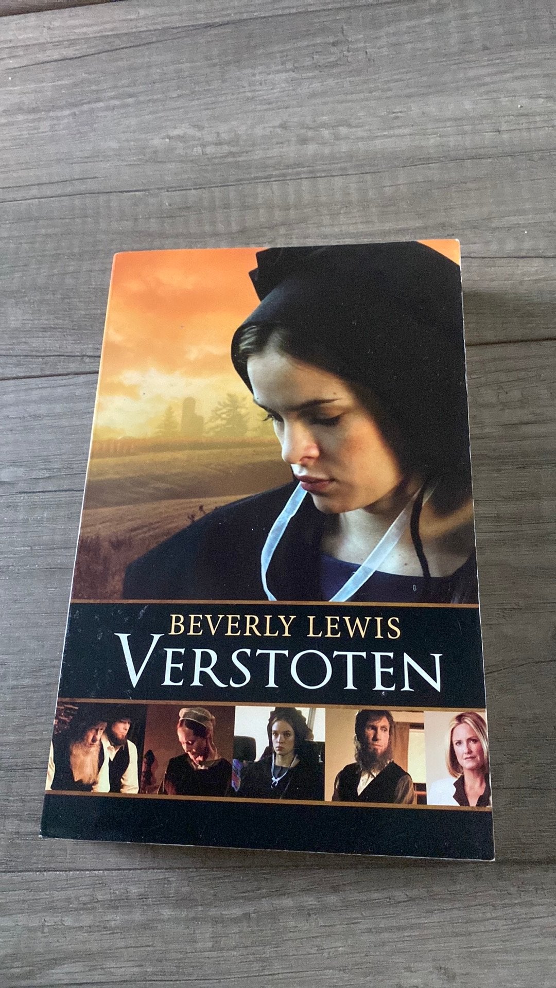 Beverly Lewis - Verstoten, Boeken, Ophalen of Verzenden, Zo goed als nieuw, Beverly Lewis