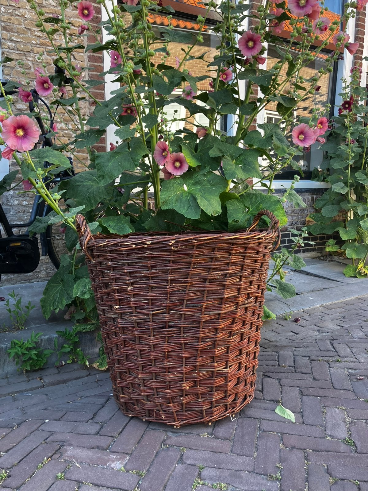 Rieten mand, Tuin en Terras, Ophalen of Verzenden, Zo goed als nieuw, Rond, 30 tot 60 cm
